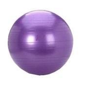 Cosco Gym Ball 95cm