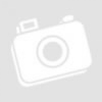 Apple iPhone 5s ( 16 GB)